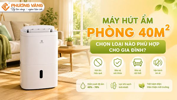 Máy hút ẩm cho phòng 40m2: Chọn loại nào phù hợp cho gia đình?