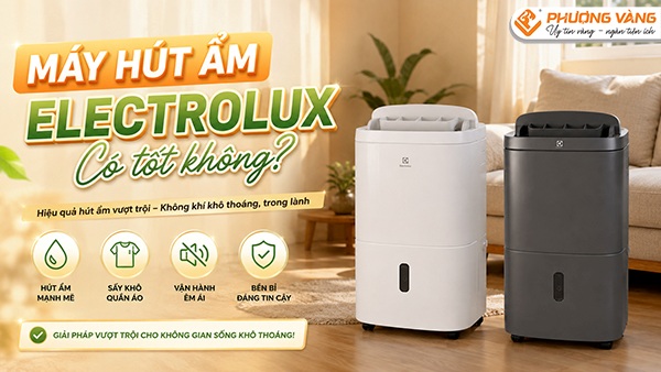 Máy hút ẩm Electrolux có tốt không? Những ưu điểm nổi bật