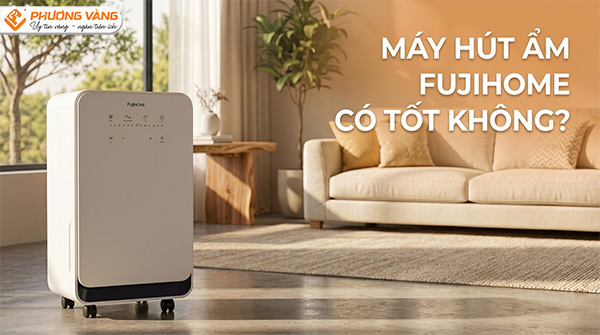 Máy hút ẩm Fujihome có tốt không? Những điểm khiến nhiều gia đình lựa chọn