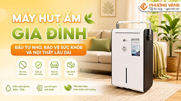 Máy hút ẩm gia đình: Đầu tư nhỏ, bảo vệ sức khỏe và nội thất lâu dài