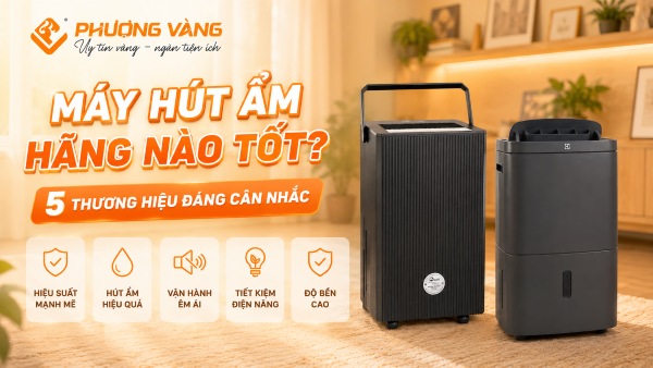 Máy hút ẩm hãng nào tốt? 5 thương hiệu đáng cân nhắc cho gia đình