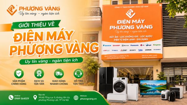 Giới thiệu công ty Phượng Vàng