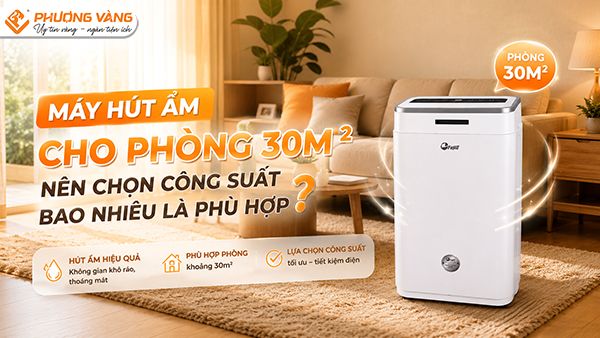 Máy hút ẩm cho phòng 30m²: Nên chọn công suất bao nhiêu là phù hợp?