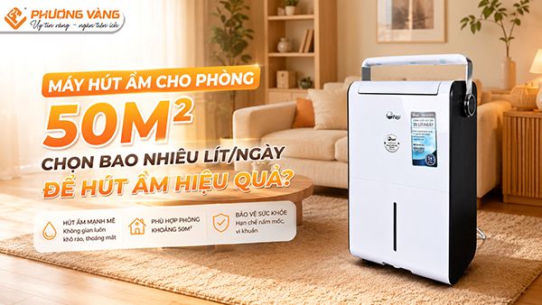 Máy hút ẩm cho phòng 50m²: Chọn bao nhiêu lít/ngày để hút ẩm hiệu quả?
