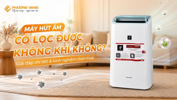 Máy hút ẩm có lọc được không khí không?