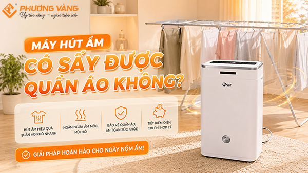 Máy hút ẩm có sấy được quần áo không? Giải đáp chi tiết từ A-Z