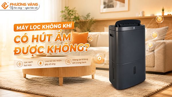 Máy lọc không khí có hút ẩm được không