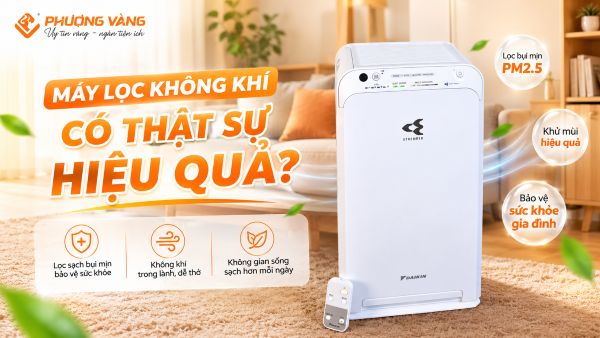Máy lọc không khí có thật sự hiệu quả? Những điều bạn nên biết trước khi mua
