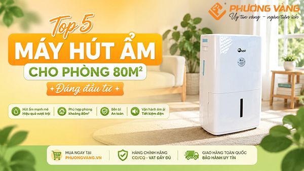 Top 5 máy hút ẩm cho phòng 80m2 đáng đầu tư cho văn phòng