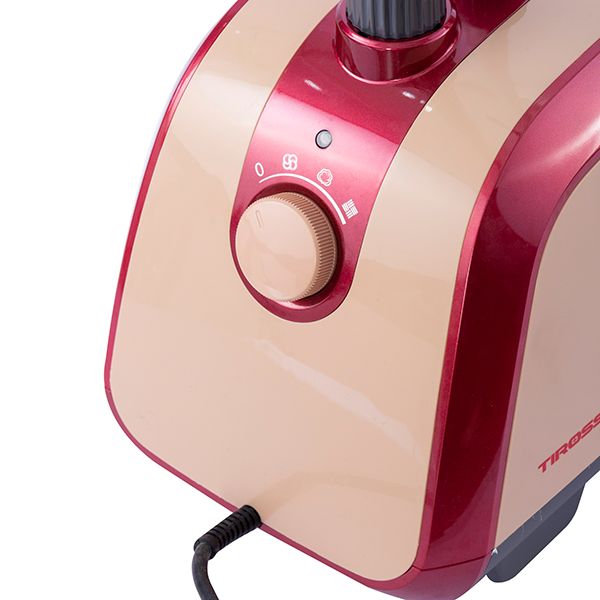 Bàn ủi hơi nước đứng Tiross TS861 1600W