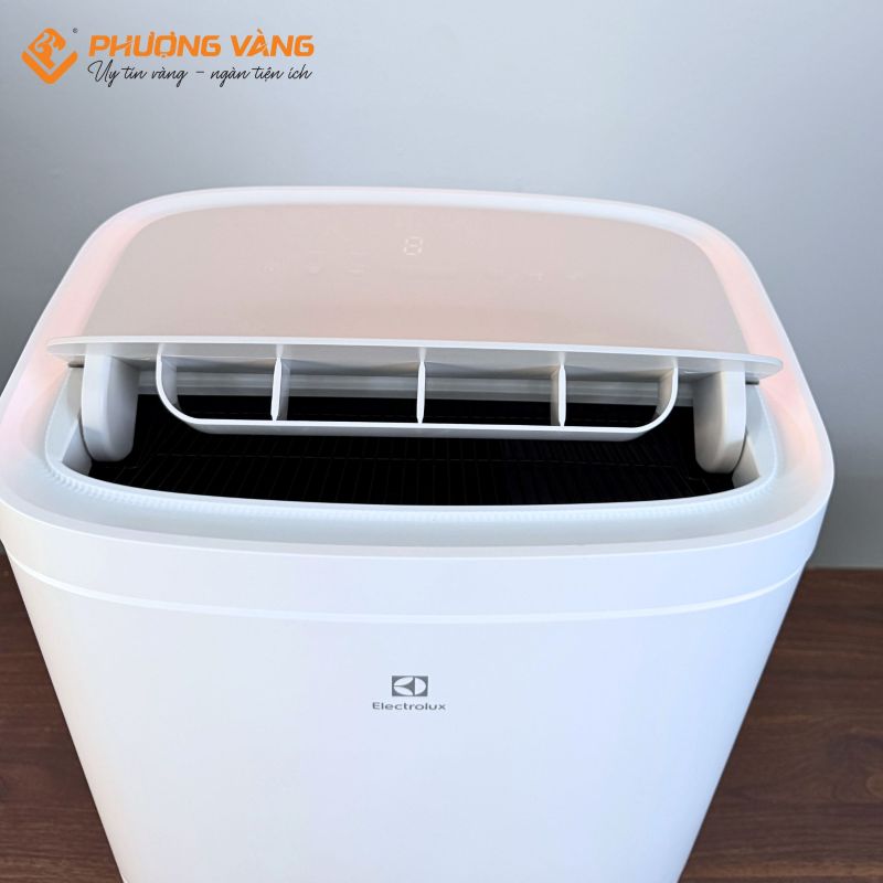 Máy hút ẩm Electrolux EDH10TRBW1 (20 lít/ngày)