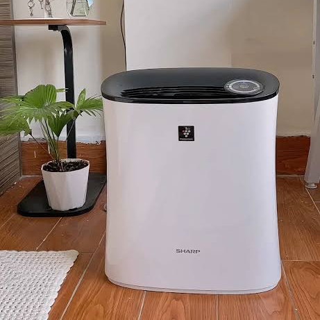 Máy lọc không khí Sharp FP-FE33V-B 21m²