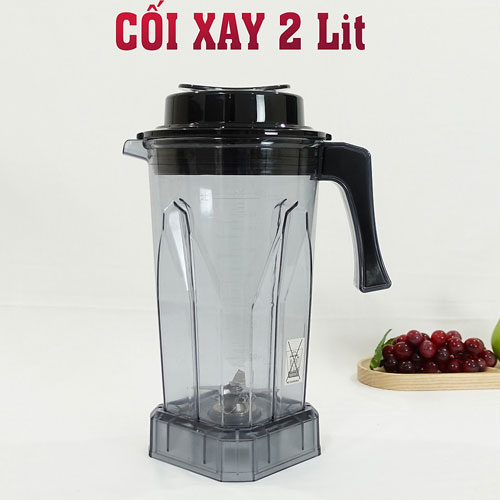Máy xay sinh tố Biochef Big 1 công suất lớn 2500W