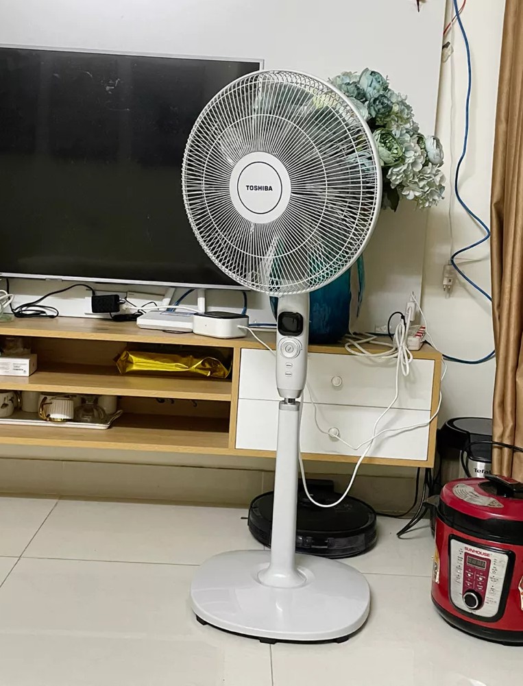 Quạt đứng Toshiba F-LSD10(H)VN 30W