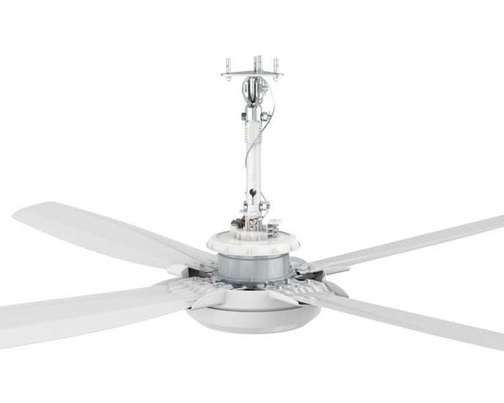 Quạt trần KDK G56DG(WH) 29W