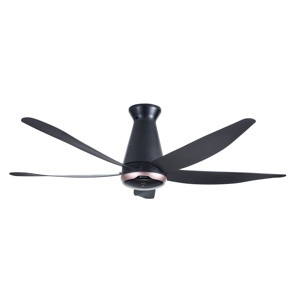 Quạt trần Panasonic F-60FEN 40W