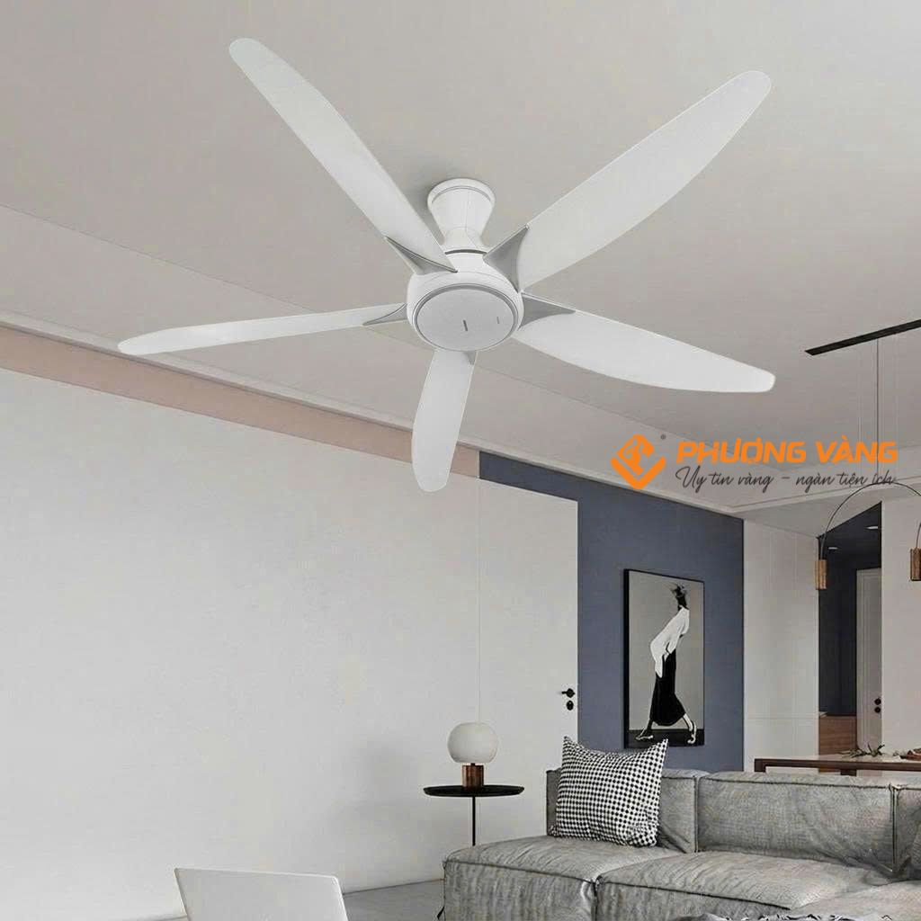 Quạt trần Panasonic F-60GDS-W ảnh thực tế