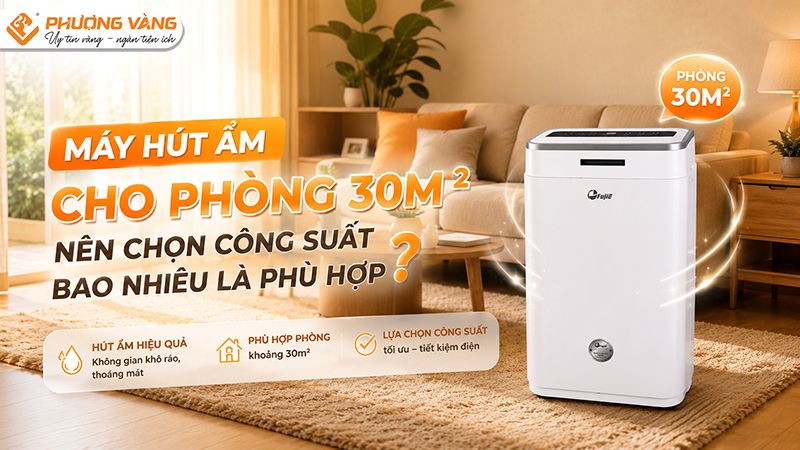 may-hut-am-cho-phong-30m-nen-chon-cong-suat-bao-nhieu-la-phu-hop-1.jpg Máy hút ẩm cho phòng 30m²: Nên chọn công suất bao nhiêu là phù hợp?